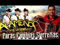 Los Alameños De La Sierra ~ MEGA MIX Lo Más Chingon ~ Cumbias y Huapangos puros para bailar💖