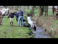 Fox Hunt at Kilross 2018