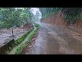 Beautiful Rain in a Remote Village in Indonesia | The Sound of Rain is Very Calming for Relaxation