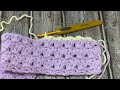 Easy Crochet Blankets: Crochet Primrose Stitch Baby Blanket | Easy Crochet Baby Blanket