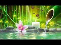 Relaxing Music Relieves Stress, Anxiety and Depression - Heals The Mind, Body and Soul - Deep Sleep