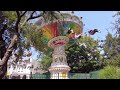 SIX FLAGS AMERICA FLYING CAROUSEL