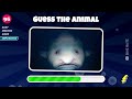 Guess 110 SEA ANIMALS in 3 seconds | EASY to IMPOSSIBLE