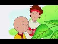 De hond van Sarah Schoonmaken | Caillou Nederlands - WildBrain