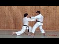 André Bertel | Budo Karate | More effective and better punching