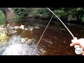 September Salmon on the river Ayr