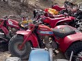 Fixing up a clapped out 250sx 3 wheeler! IT RIPS!!