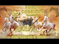 DOS LOS 90 Y 2000 PESANDAOS - PUROS CORRIDOS MIX 2023