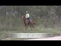 Australian Endurance Riders