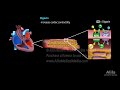 Pharmacology: Drugs for Heart Failure, Animation