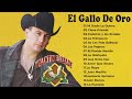 Valentin Elizalde ( El Gallo De Oro ) - Puros Corridos Mix ( 30 Mejores Exitos )
