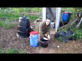 Doug's Allotment - How to make comfrey tea, a free organic liquid fertiliser.