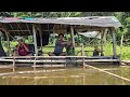 Mancing Dua hari sebelum Lebaran kita masih di Pulau Kp.Cigandu Pesisir Cirata Bandung Barat