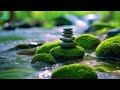 Relaxing Music for Relieve Anxiety 🌿 The Sound of Water, Calms The Mind - Deep Sleep 🌙