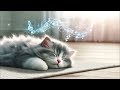 Music for Calm Your Cat - 2 Hours of Soothing Music for Cats - Cat Purring Sounds