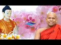 දුට මේ ටික කියලා දෙන්න l Welimada Saddaseela Thero