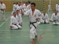 Yamaguchi-sensei demonstrates kata Ji'in