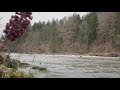 River Sounds for Sleep and Study at Bad Reichenhall, Bavaria | White Noise 4k ASMR