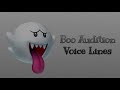 Audition Voice Lines For Lego Mario Time: Boo - Lego Luigi’s Mansion