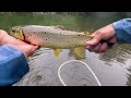 Creek Fishing For Trout With Jerk Bait 7 / 25 / 2024