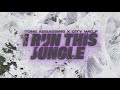 City Wolf X Tone Assassins - I Run This Jungle