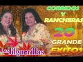 Las Jilguerillas 20 GRANDES EXITOS - CORRIDOS Y RANCHERAS Mix