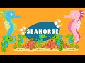 50 Sea Animals Flashcards and Videos - for Kids and Toddlers