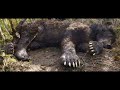 Wolf Dogs Save Frank Glazer From A Giant Bear