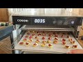 How to Dehydrate Figs | Preserve Figs by Dehydrating in a Cosori Food Dehydrator