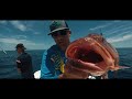 Venice Florida Deep Sea Fishing