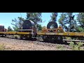 The yard at Bluescope, Hastings. Dual cab 'Peter Pan' sticker unit leads EMD GT26 Steel Horse.