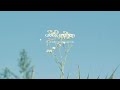 [Piano] A romantic song that flows with a pleasant wind l GRASS COTTON+