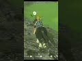 The Best Way To Tame A Horse In BOTW