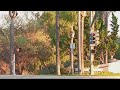 New & Old Pedestrian Signals Together In Escondido (Bear Valley Pkwy & Beethoven Dr)