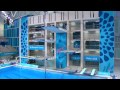 Baku2015 Platform diving prelim (part 1)