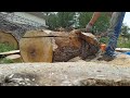 chain saw milling live edge silver maple slabs from a small log.