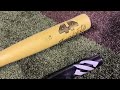 Hitting with the 44 PRO Project Power (the Drew Burress mystery bat) | BBCOR Baseball Bat Review
