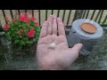 Stunning storms with a massive shelf cloud and hail in Little Rock, Arkansas on 4/25/2024.