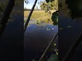 Chuitbuna Lake. Checking drainage.