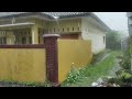 Super Heavy Rain and Storm Wind | Thunder | Walk in Village Life | ASMR | Rain Sounds For Sleep