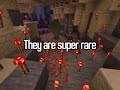 Top 5 Signs Your Minecraft World Is CURSED