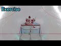 Beginners Guide for EASHL Goaltenders | Goalie Basics