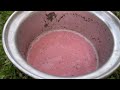 Kashmiri Chai Recipe | کشمیری چائے | Pink Tea Recipe | Gulabi Chai