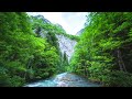 4K Gentle Mountain River at Golden Hour | Relaxing Birdsong | Nature Ambience for Sleep & Meditation