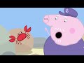 Peppa Pig Nederlands | Bootvijver | Tekenfilms voor kinderen