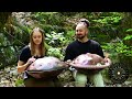 Forest Birds I 1 Hour Handpan music I Hangala & Warren Shanti