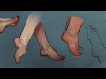 Anatomy Quick Tips: Feet