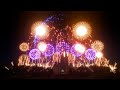 Magic Kingdom 2024 New Years Pyromusical - 300 Subscriber Special!