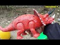 WADIDAW..PROSES MELAHIRKAN CESAR SAPI GORILA GAJAH DINOSAUR KELINCI BEBEK||PROSES POTONG SAPI KURBAN