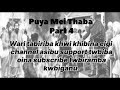 Puya Mei Thaba // Story // Part 4